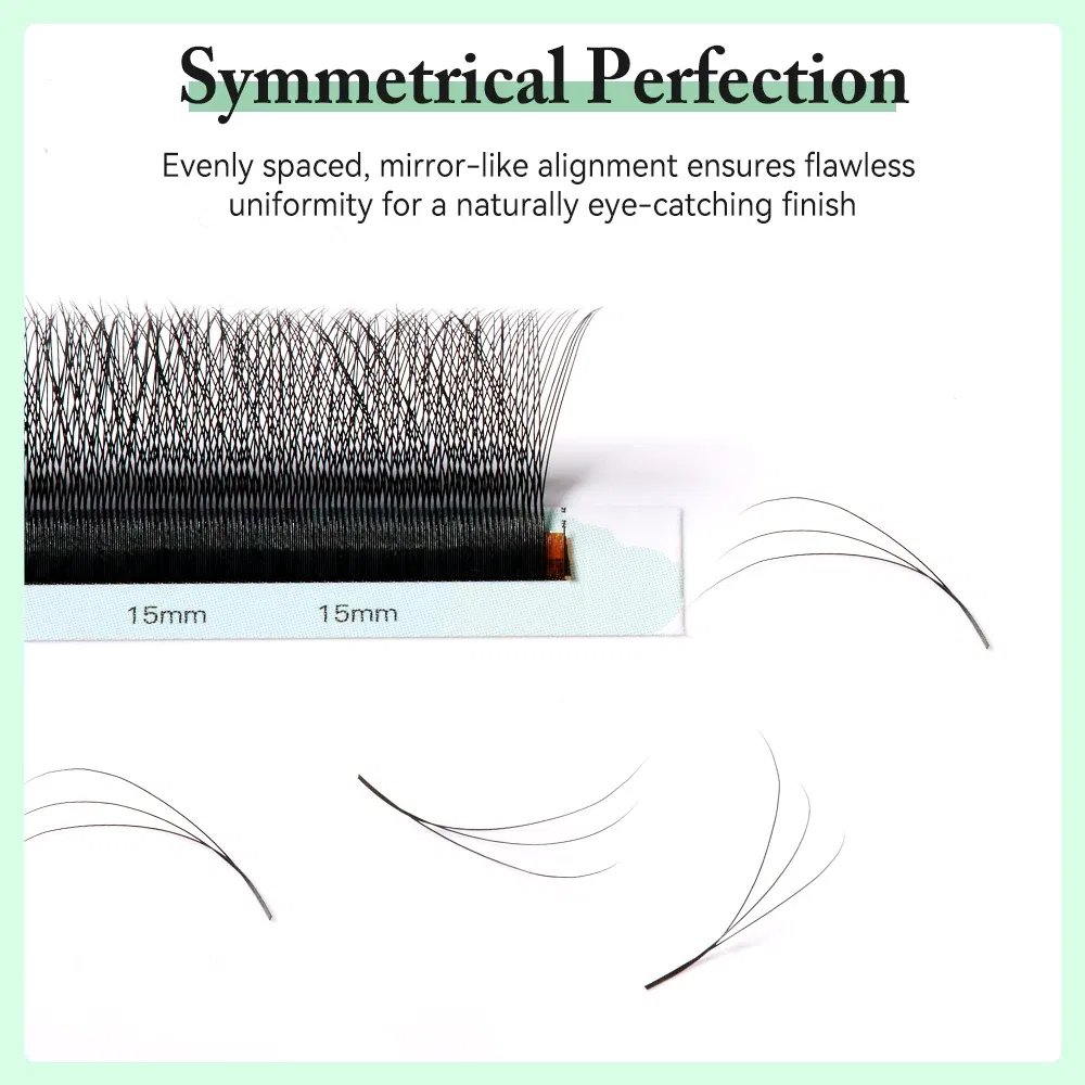 Curl: B, Thickness: 0.07mm, Length: 15mm - Yelix Smaller Opening 3D Lashes Narrow 3D W Shape Eyelash Extension Premade Volume Fan Lashes Natural Soft Eyelash