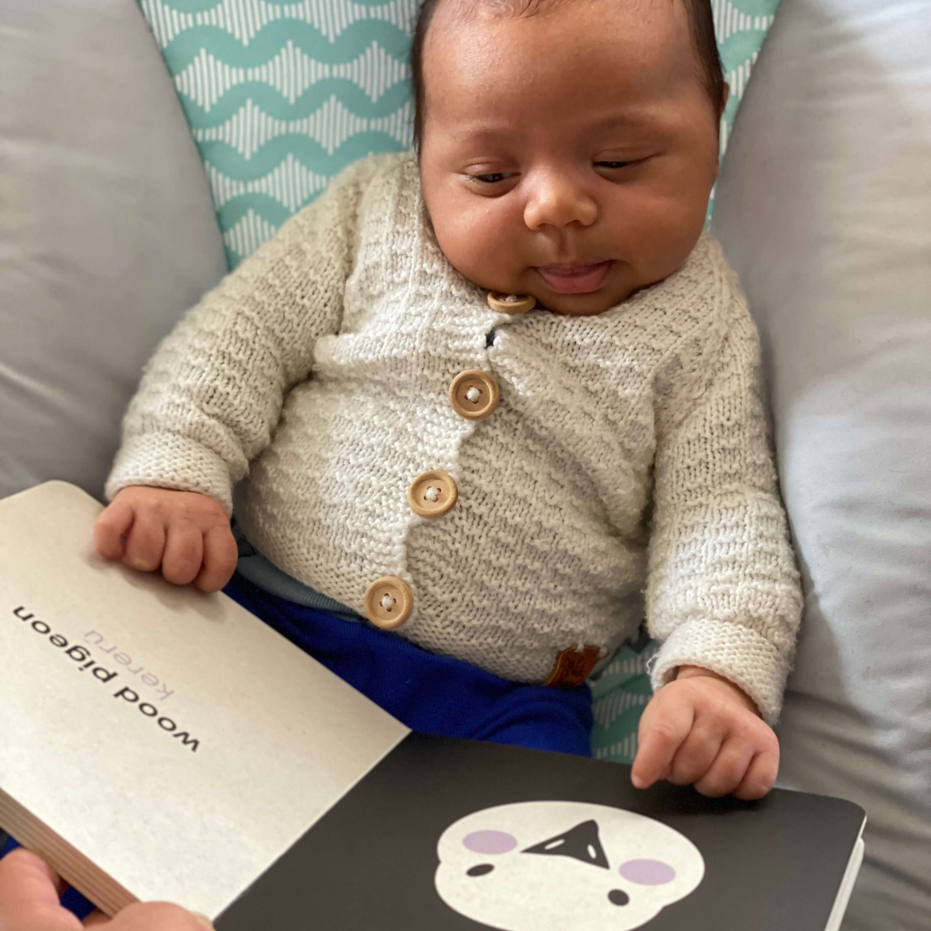 Native NZ Baby Meets Bird | Contrast Board Book