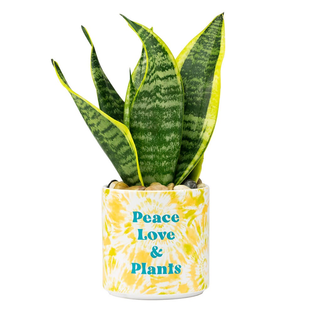 Blurred Peace Love & Plants Tie Dye Planter - Medium