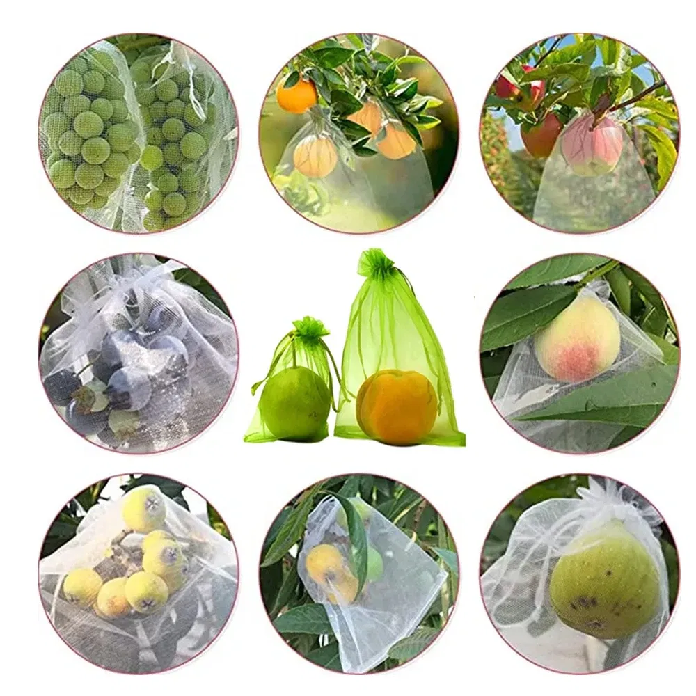 Color: Light Grey, Size: 6XL - 20-200PCS Vegetable Grapes Fruit Grow Bags Fruit Protection Bags Garden Anti-Bird Netting Mesh Bag Strawberry Bags Garden Tools