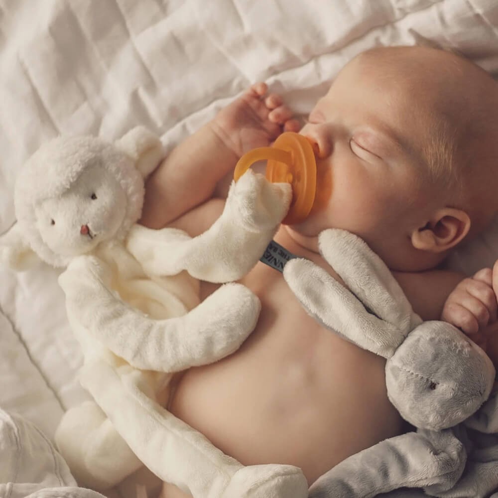 Kiddo The Lamb Silly Buddy