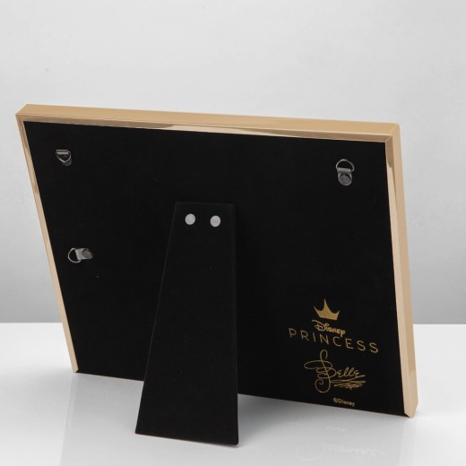 Disney Collectible Framed Print : Belle