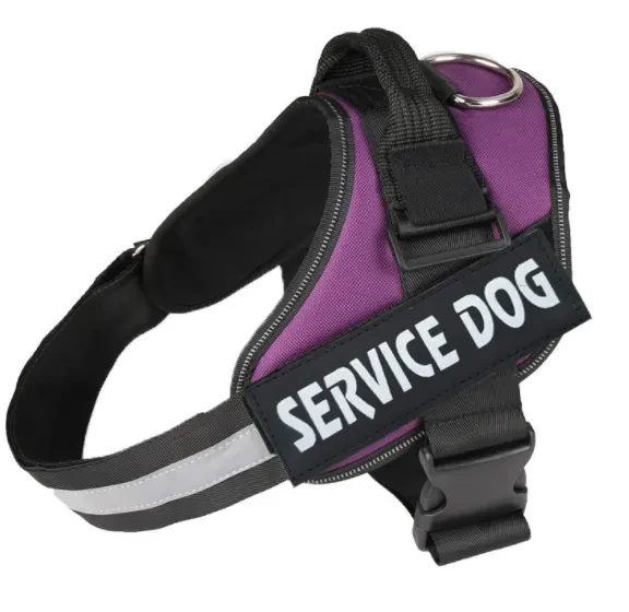 Personalized Dog Harness