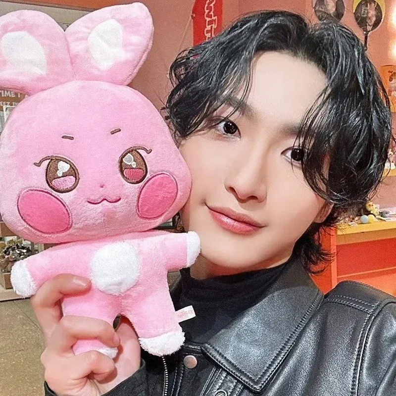 Color: MediumVioletRed, Height: 0-10cm - Kpop Aniteez Kawaii Stuffed Animals Plushies Toy Room Decor Hongjoong Seonghwa Yunho Yeosang San Ming Wooyoung Jongho Plu