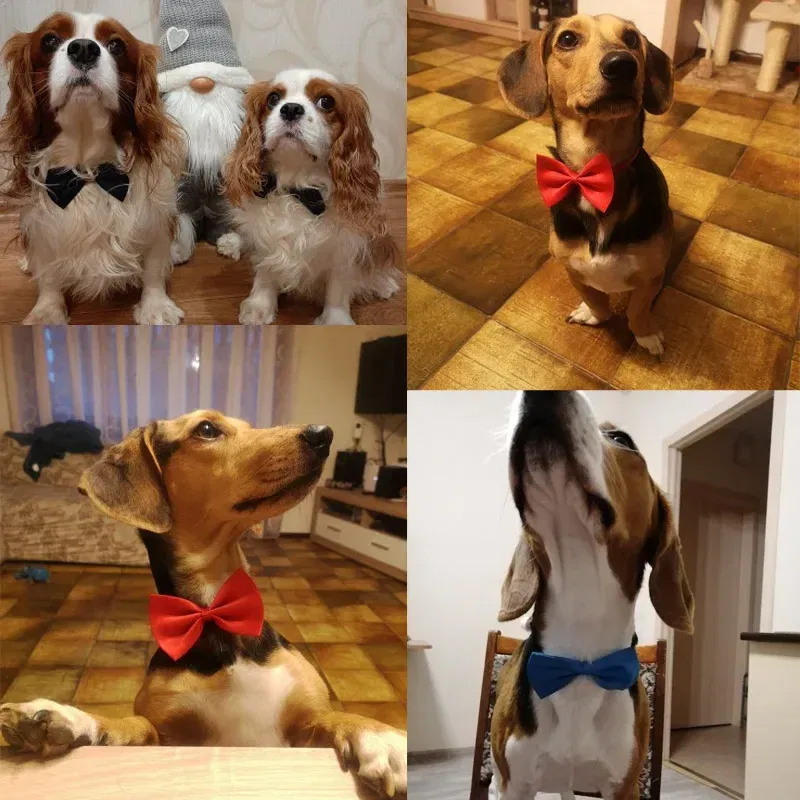 Color: Pink - Pet Dog Cat Necklace Adjustable Strap for Cat Collar Dogs Accessories pet dog bow tie puppy bow ties dog Pet supplies