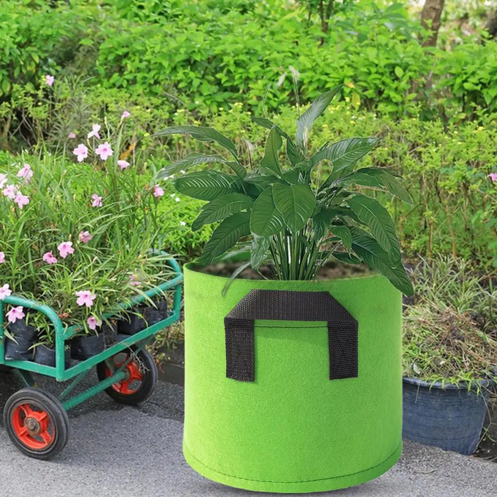 Color: Green, Ships From: CHINA - Vegetable Planting Bag Excellent Drainage Planting Grow Bag Eco-friendly Gallon Vegetable Plant Grow Pouch Wide Application