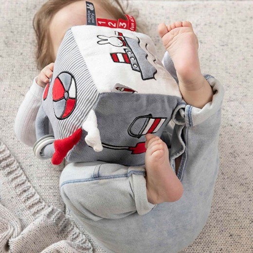 Miffy Fun At Sea Activity Cube