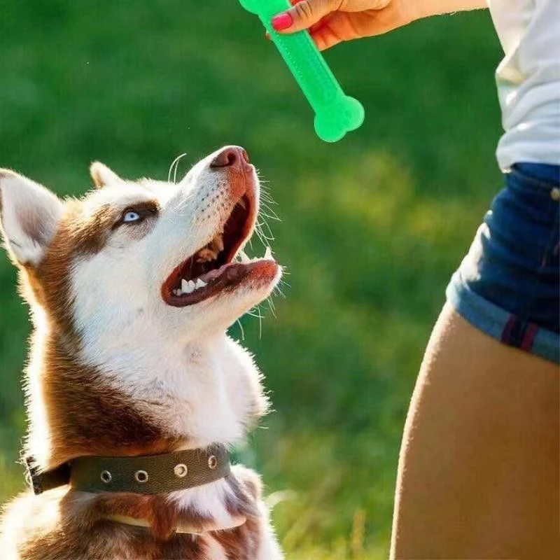 Color: green, Ships From: CHINA - Hot Sale Pet Dog Chew Toys Rubber Bone Toy Aggressive Chewers Dog Toothbrush Doggy Puppy Dental Care For Dog Pet Accessories