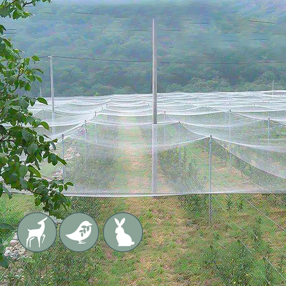 Color: Silver, Size: S - 3x1-20M Anti-bird Netting Garden Outdoor Pest Barrier Knotted Square Mesh Protection Net Extra Strong Poultry Breeding Nylon Net