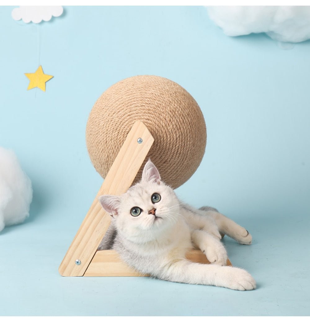 Multifunctional Cat Toy
