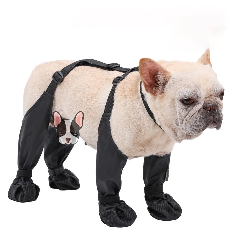 Adjustable and Connected Dog Boots - Ultimate Paw Protection