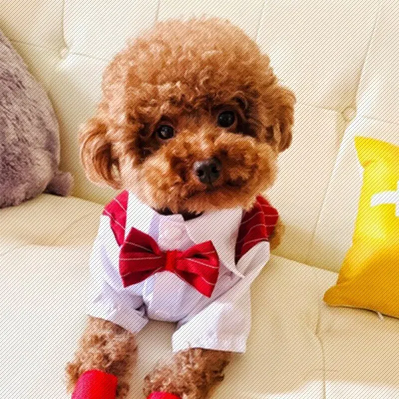 Color: Red, Size: XXL - Dog Gentleman Wedding Suit Clothes Dog Suit Bow Tie Clothes Halloween Christmas Costume For Small Dogs Teddy Bulldog
