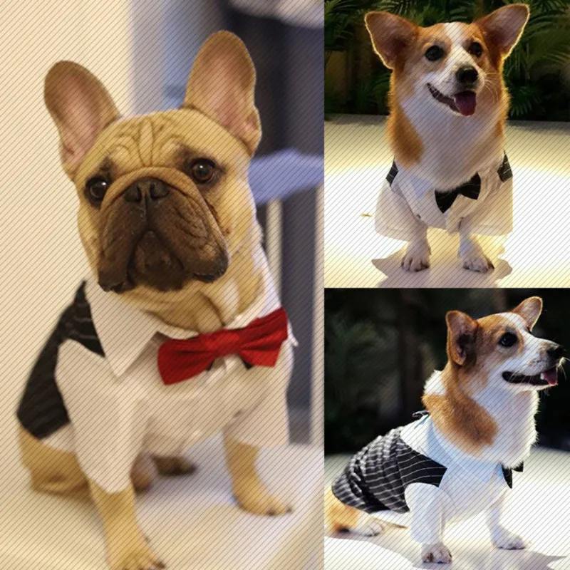 Color: Red, Size: XXL - Dog Gentleman Wedding Suit Clothes Dog Suit Bow Tie Clothes Halloween Christmas Costume For Small Dogs Teddy Bulldog