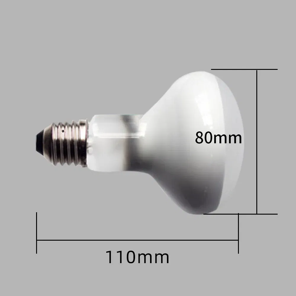 Color: Light Grey, Ships From: CHINA - UVA+UVB Heating Lamp uv light Suitable For Turtle Lizard Reptile Pet Waterproof Fluorescent Lamp Temperature Controller 220V