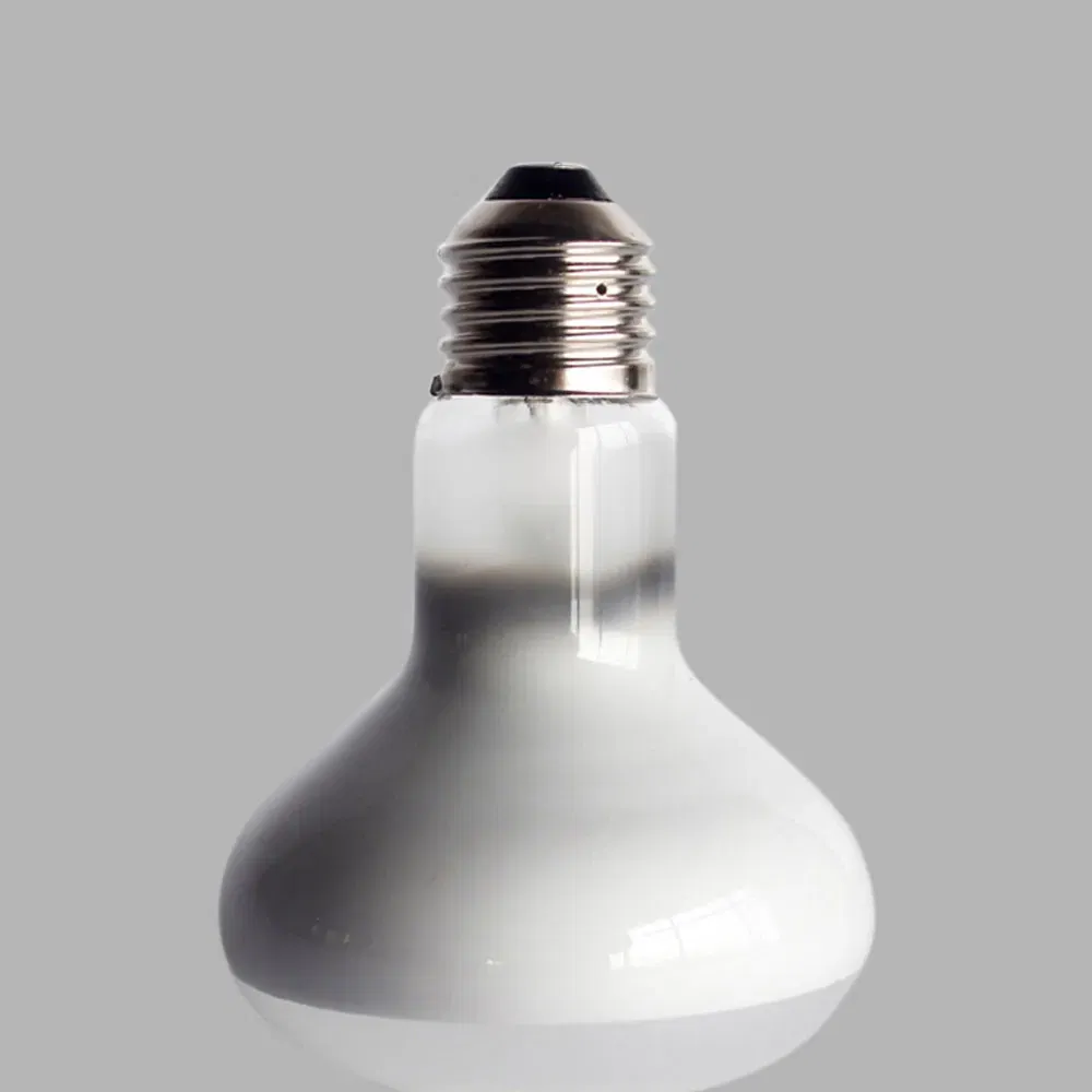 Color: Light Grey, Ships From: CHINA - UVA+UVB Heating Lamp uv light Suitable For Turtle Lizard Reptile Pet Waterproof Fluorescent Lamp Temperature Controller 220V