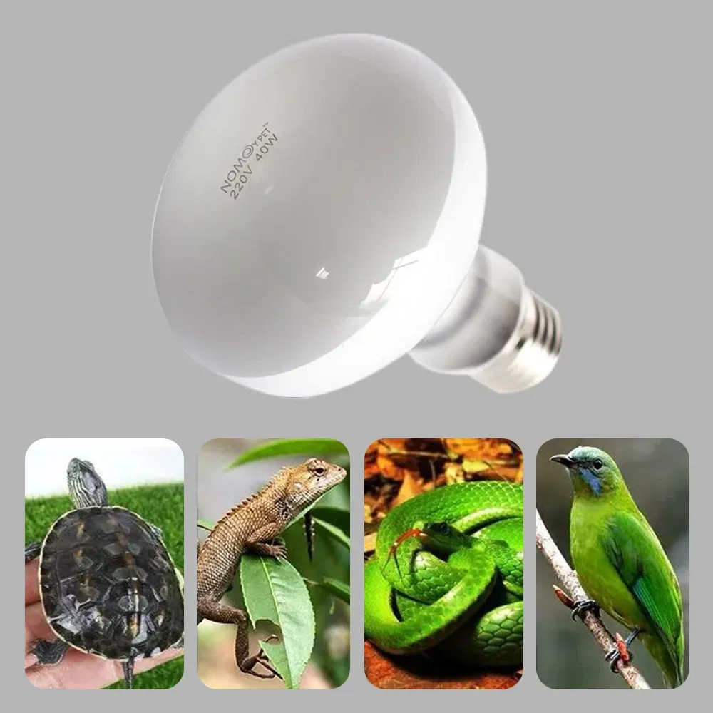 Color: Light Grey, Ships From: CHINA - UVA+UVB Heating Lamp uv light Suitable For Turtle Lizard Reptile Pet Waterproof Fluorescent Lamp Temperature Controller 220V