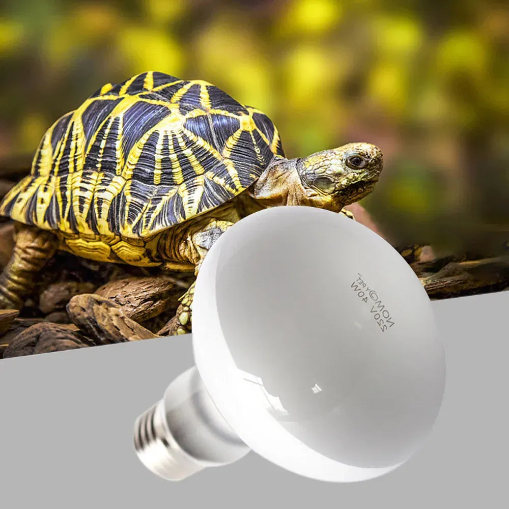 Color: Light Grey, Ships From: CHINA - UVA+UVB Heating Lamp uv light Suitable For Turtle Lizard Reptile Pet Waterproof Fluorescent Lamp Temperature Controller 220V