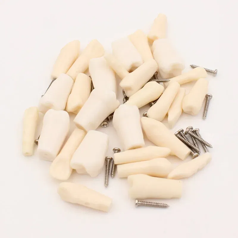 Color: Brown - 10Pc Dental Tooth Model Endodontic Root Canal Block RCT Practice Pulp Cavity Dentistry Replace Resin Teeth Endo Training Student