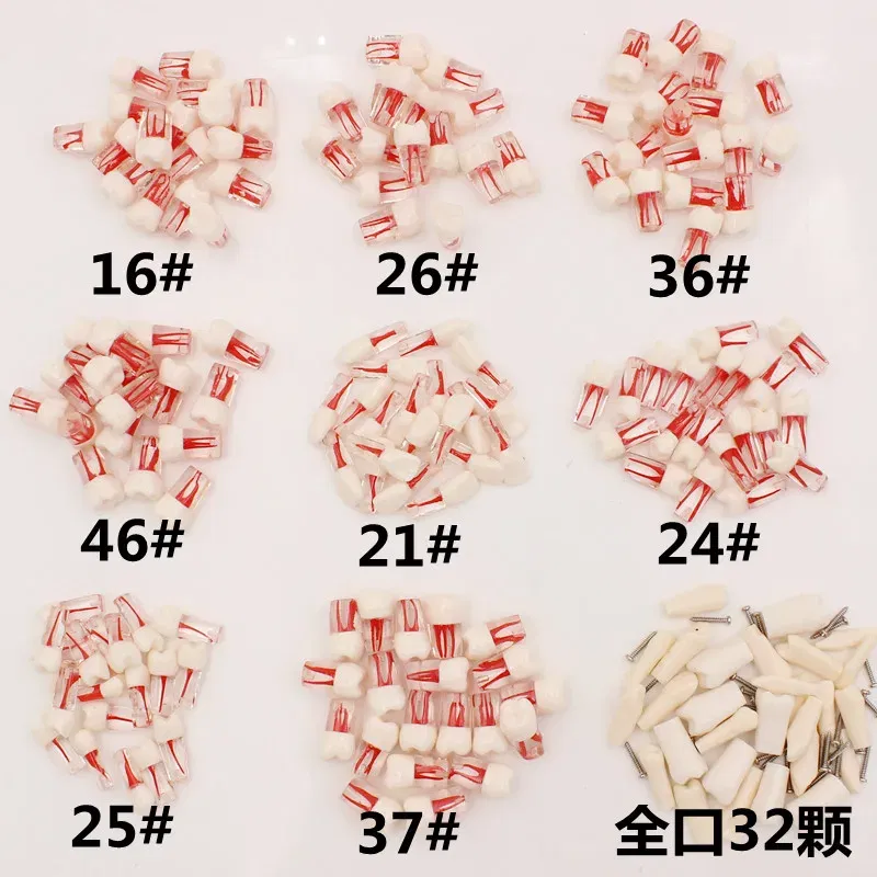 Color: Brown - 10Pc Dental Tooth Model Endodontic Root Canal Block RCT Practice Pulp Cavity Dentistry Replace Resin Teeth Endo Training Student