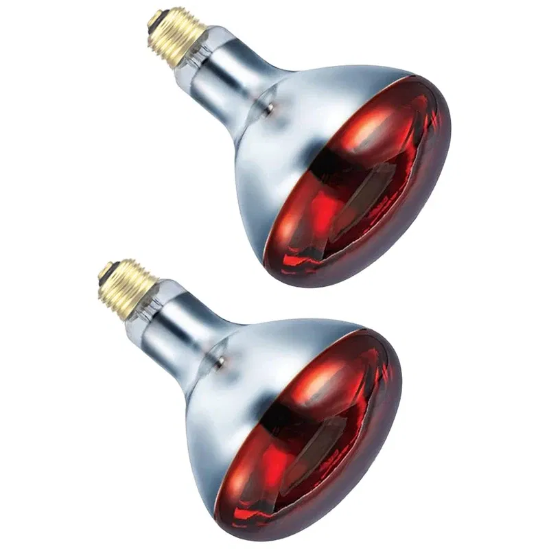 Color: Army Green, Ships From: CHINA - BONGBADA Quartz glass waterproof and explosion-proof E26 E27 Red R40 Infrared Heat Lamp Farm lamp 100W 150W 200W 250W 275W