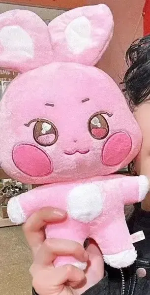 Color: pink, Height: 0-10cm - Kpop Aniteez Kawaii Stuffed Animals Plushies Toy Room Decor Hongjoong Seonghwa Yunho Yeosang San Ming Wooyoung Jongho Plu