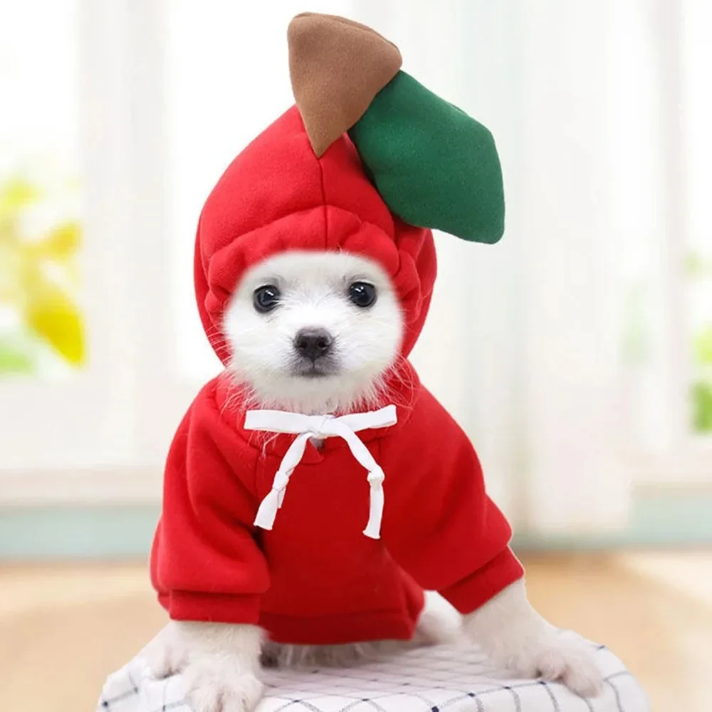 Cute Fruit Dog Clothes For Small Dogs Hoodies Winter