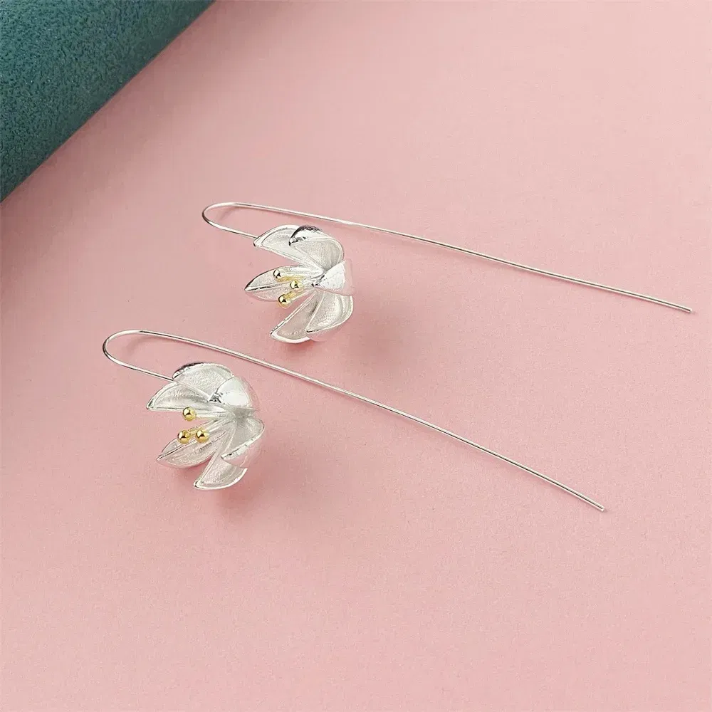Gem Color: Blue - 925 Silver Heart Shape Earrings Women Exquisite Student Jewelry Accessories