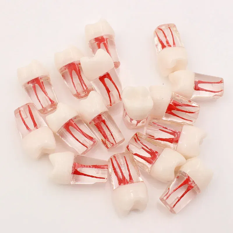 Color: GRAY - 10Pc Dental Tooth Model Endodontic Root Canal Block RCT Practice Pulp Cavity Dentistry Replace Resin Teeth Endo Training Student