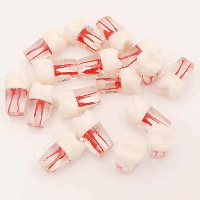 Color: GRAY - 10Pc Dental Tooth Model Endodontic Root Canal Block RCT Practice Pulp Cavity Dentistry Replace Resin Teeth Endo Training Student