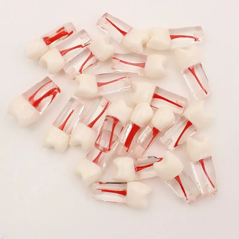 Color: GRAY - 10Pc Dental Tooth Model Endodontic Root Canal Block RCT Practice Pulp Cavity Dentistry Replace Resin Teeth Endo Training Student