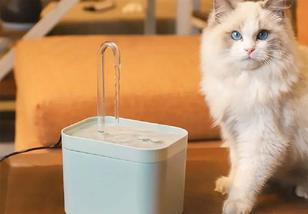 Automatic Cat Water Fountain Auto Filter