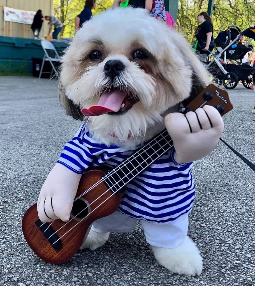 Pet dog guitarist dress