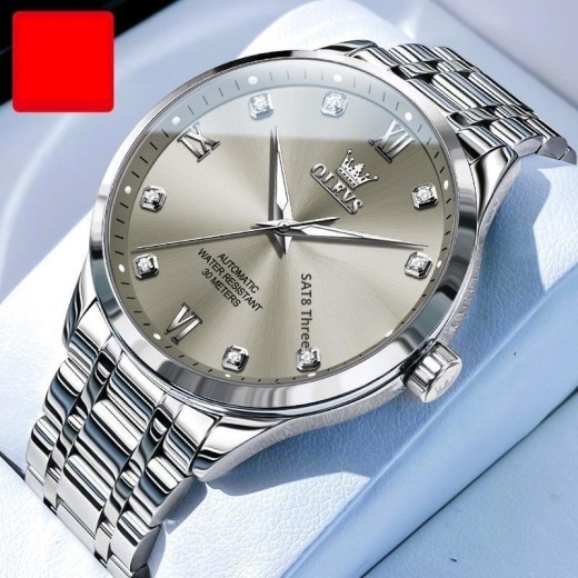 Men's Waterproof Mechanical Watch
