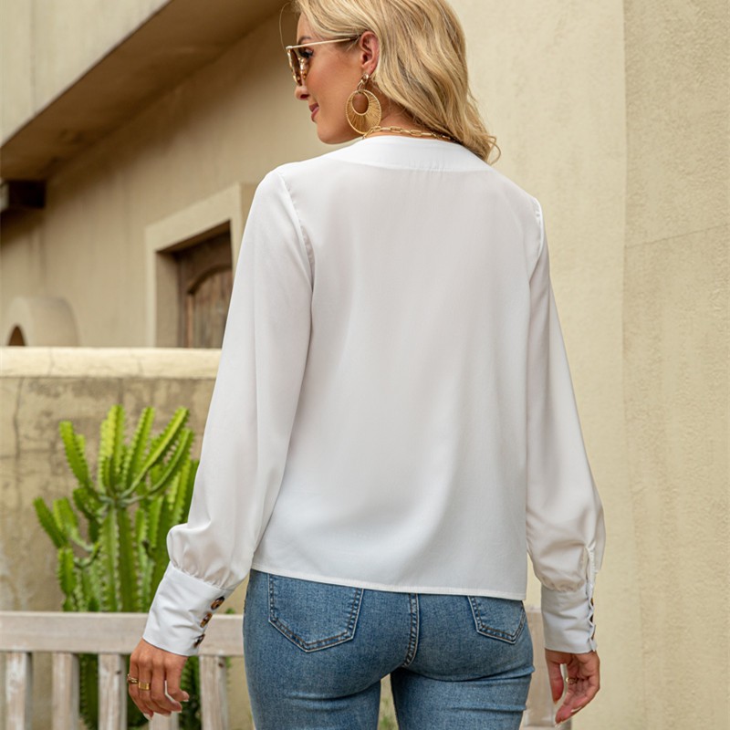 Women's Deep V-neck Long-sleeved Chiffon Shirt