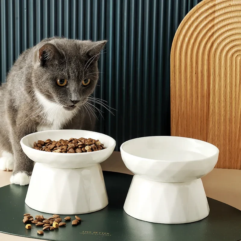 Spine-Friendly Cat Bowl