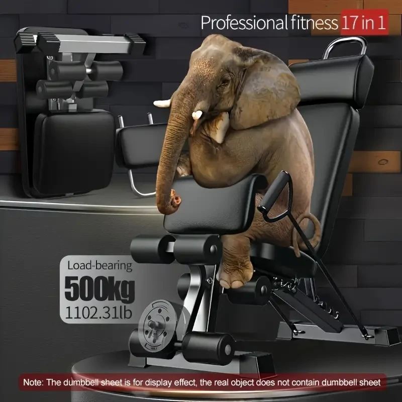 ADKING 17-in-1 Dumbbell Bench  Adjustable Home Gym Exercise Chair