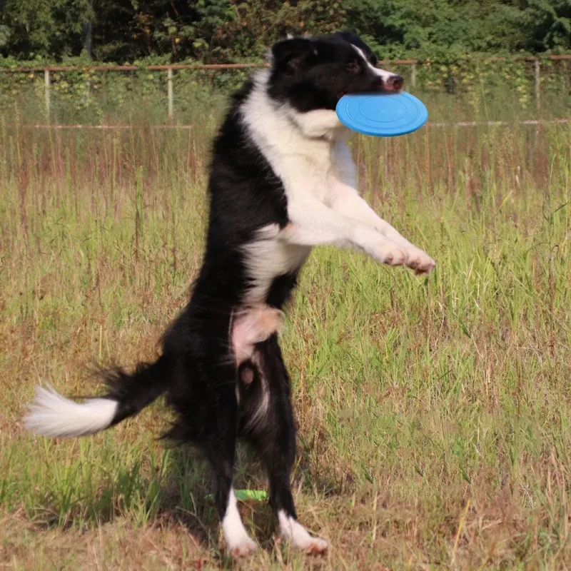 Color: PURPLE - Dog Flying Discs Silicone Flying Saucer Floating Bite Resistant Dog Interactive Game Toy Pet Training Supplies