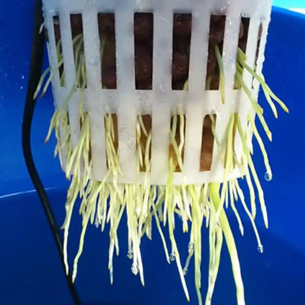 Color: Yellow - Heavy Duty Hydroponic Mesh Pot Net Cup Basket Hydroponic Aeroponic Vegetable Plant Soilless Cultivation Basket 108*98mm