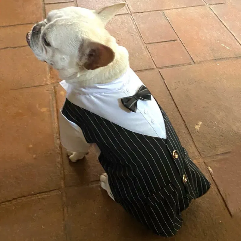 Color: Red, Size: S - Dog Gentleman Wedding Suit Clothes Dog Suit Bow Tie Clothes Halloween Christmas Costume For Small Dogs Teddy Bulldog