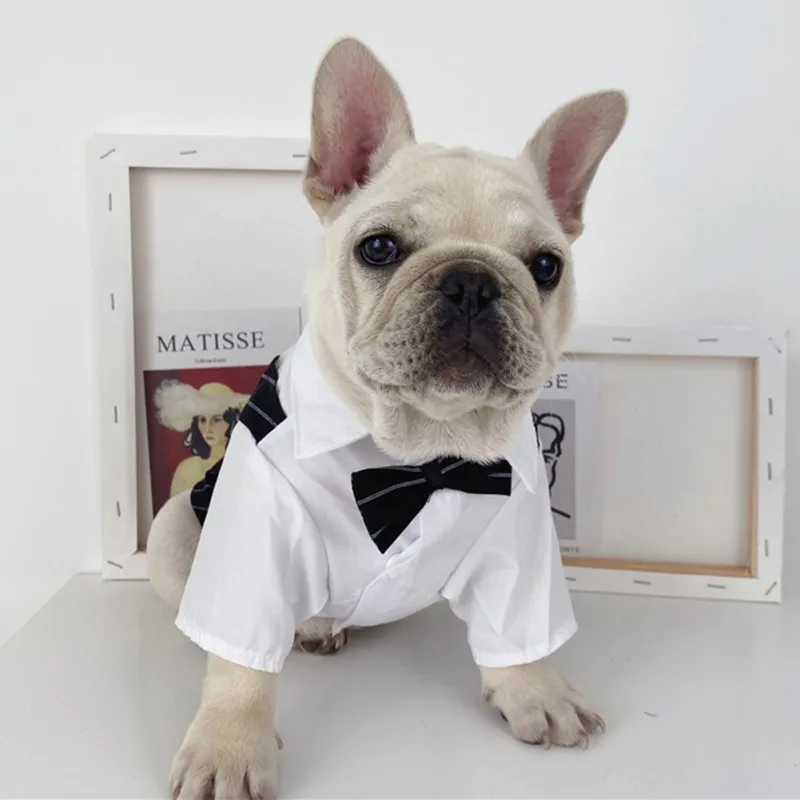Color: Red, Size: S - Dog Gentleman Wedding Suit Clothes Dog Suit Bow Tie Clothes Halloween Christmas Costume For Small Dogs Teddy Bulldog
