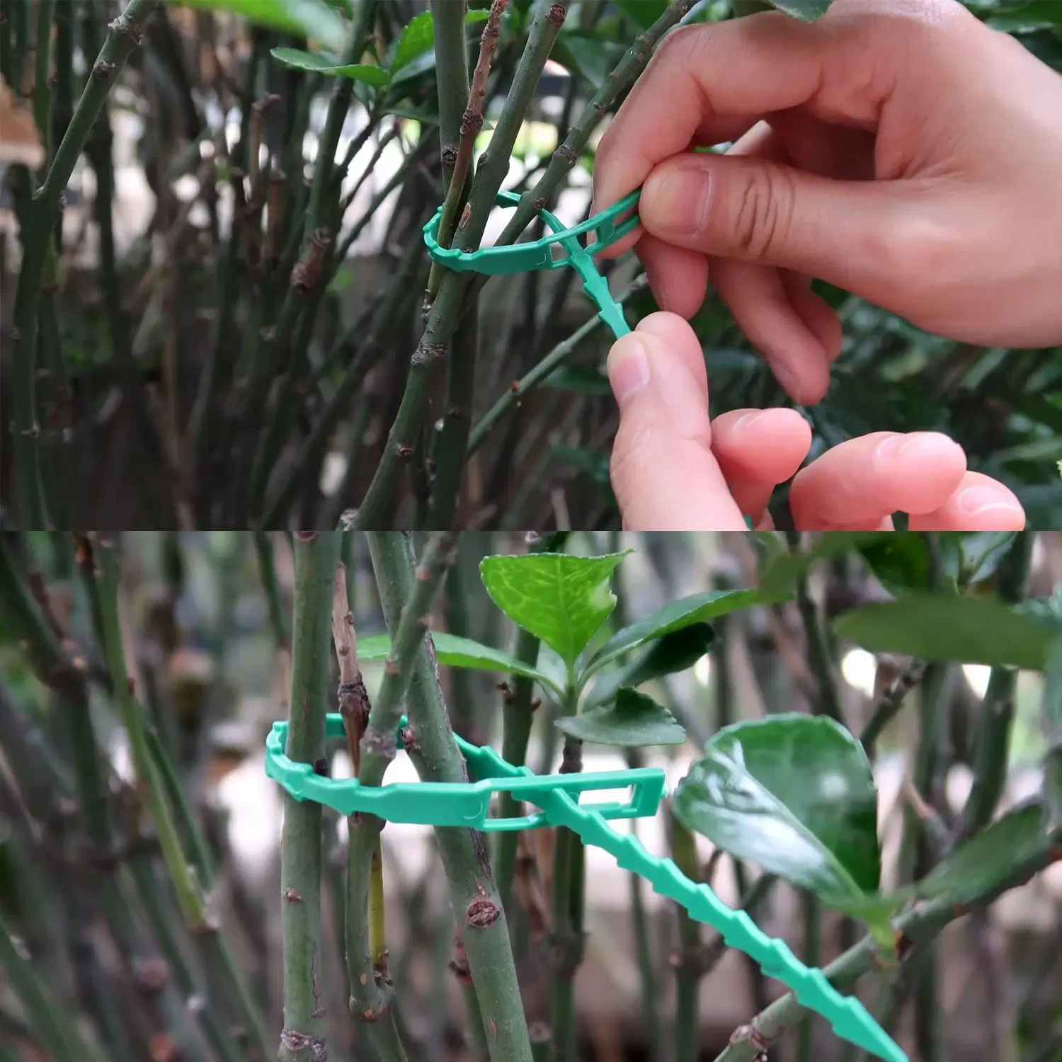 Size: L, Color: Silver - 30/50/100/200Pcs Reusable Garden Cable Ties Plant Support Shrubs Fastener Tree Locking Nylon Adjustable Plastic Cable Ties Tools