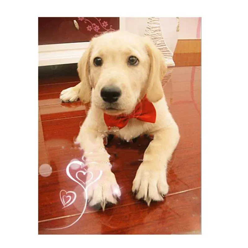 Color: multi - Pet Dog Cat Necklace Adjustable Strap for Cat Collar Dogs Accessories pet dog bow tie puppy bow ties dog Pet supplies