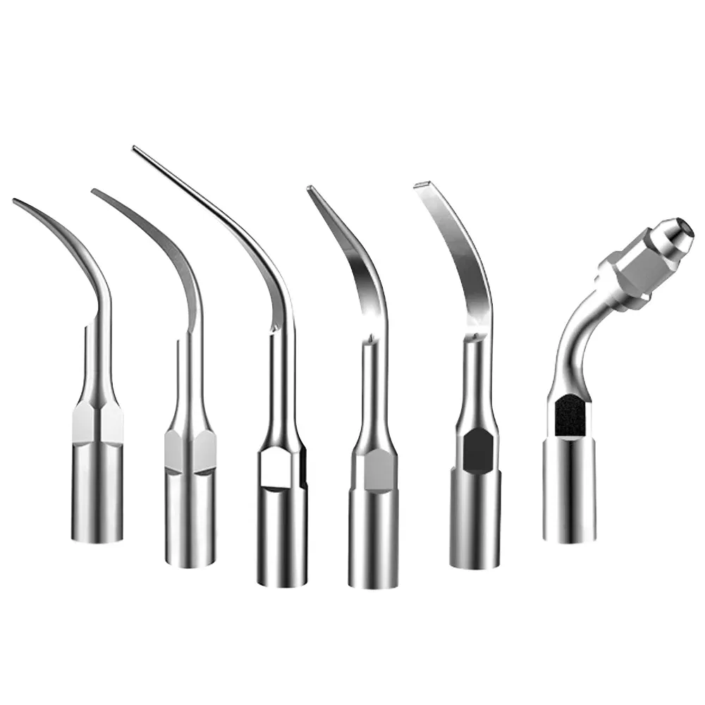 Color: PURPLE, Ships From: CHINA - AZDENT 1pc Dental Ultrasonic Scaler Tip Scaling Periodontics Endodontics GD PD ED Tip Fit for SATELEC DTE NSK Ultrasonic Scaler