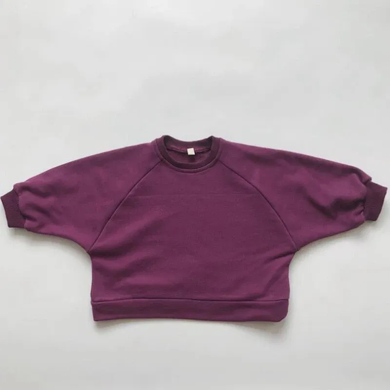 Color: SKY BLUE, Kid Size: 3T?€?€·?¤–运动?‰ - Children Clothing Japan Korean Style Autumn Spring Baby Girls Boys Casual Long Sleeve Sweatshirts T-shirt Kids Pullover Tops