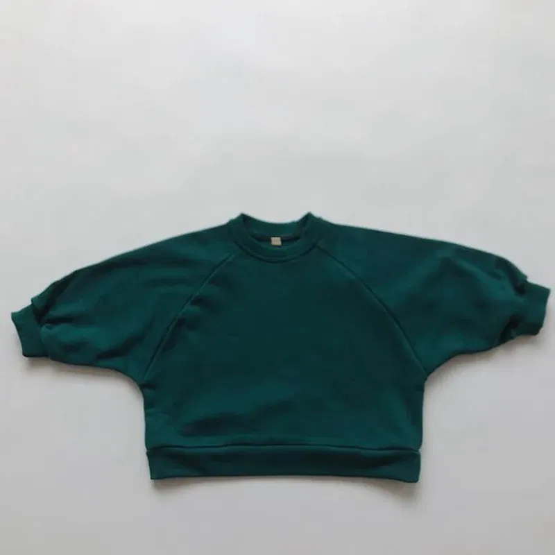 Color: SKY BLUE, Kid Size: 3T?€?€·?¤–运动?‰ - Children Clothing Japan Korean Style Autumn Spring  Baby Girls Boys Casual Long Sleeve Sweatshirts T-shirt Kids Pullover Tops
