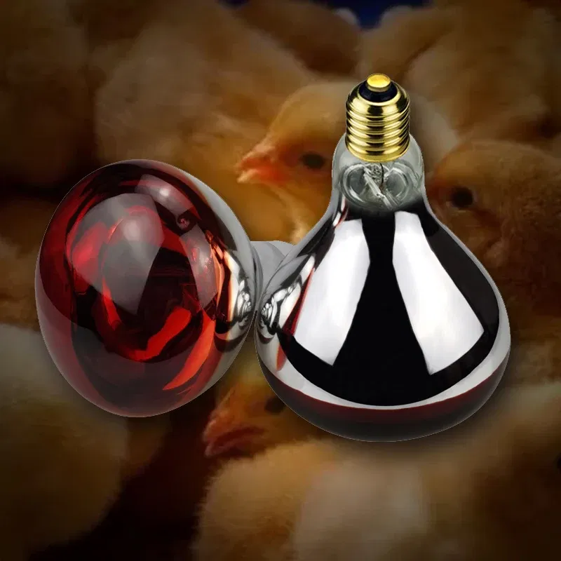 Color: plum, Ships From: Russian Federation - BONGBADA Quartz glass waterproof and explosion-proof E26 E27 Red R40 Infrared Heat Lamp Farm lamp 100W 150W 200W 250W 275W