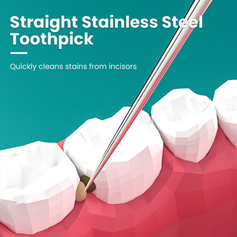 8-Piece Portable Stainless Steel Toothpick Set