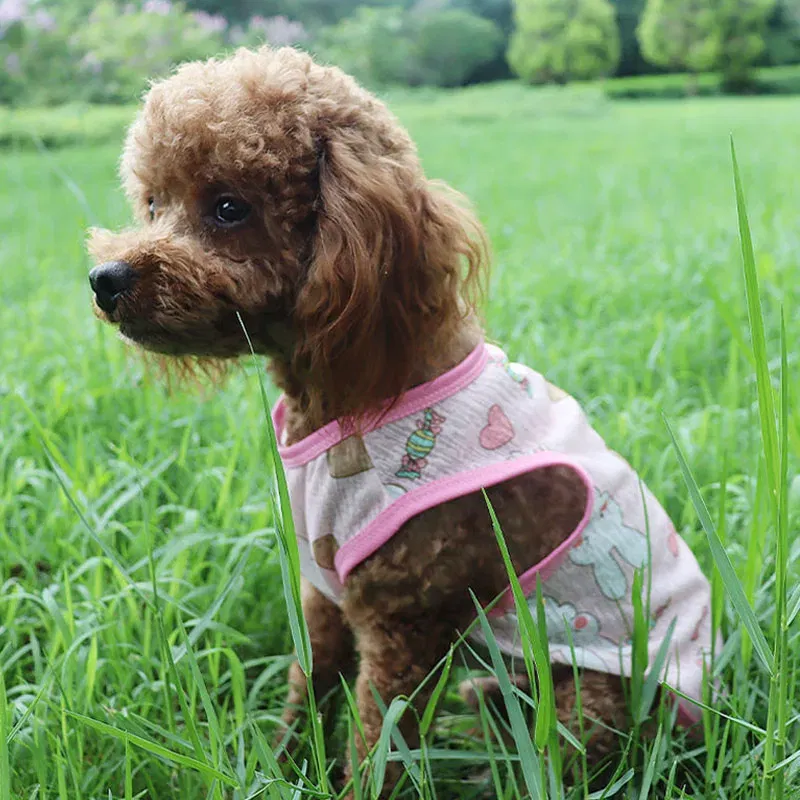Color: Pink, Size: S - Summer Dog Vest Ultra Thin Breathable Mesh Cloth Pet T-shirt for Small Dogs Cute Cartoon Print Puppy Cat Cheap Clothes Costumes