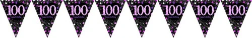 Pink Celebration 100 Prismatic Pennant Banner - Plastic