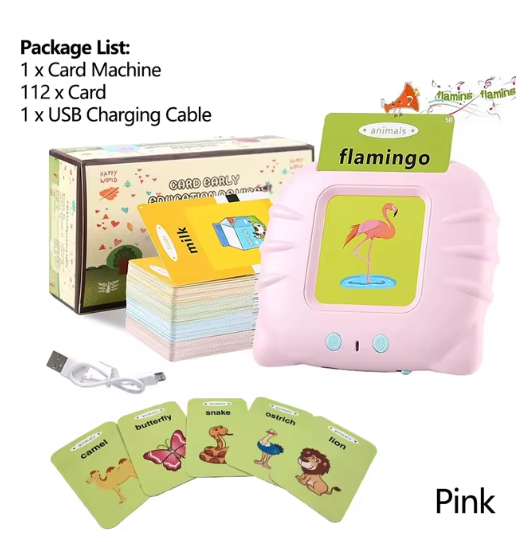 Early Education Flash Card Learning Toys